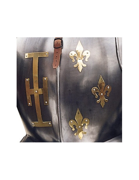 Armadura natural com escudo e lança