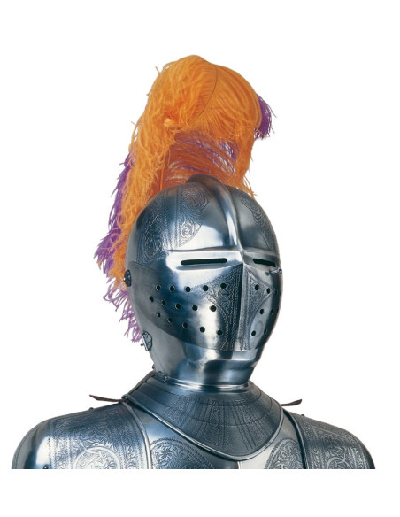 Armadura de prata natural com gravuras, pluma de penas e espada nas mãos