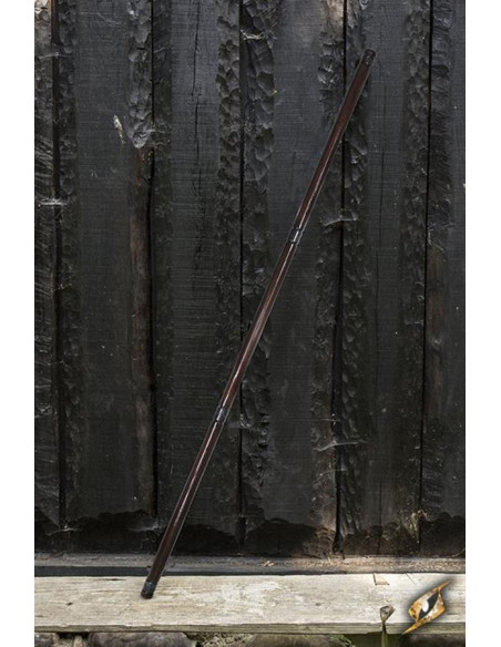 Assistente pronto para batalha Cajado...