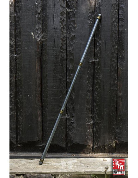 Assistente pronto para batalha Cajado...