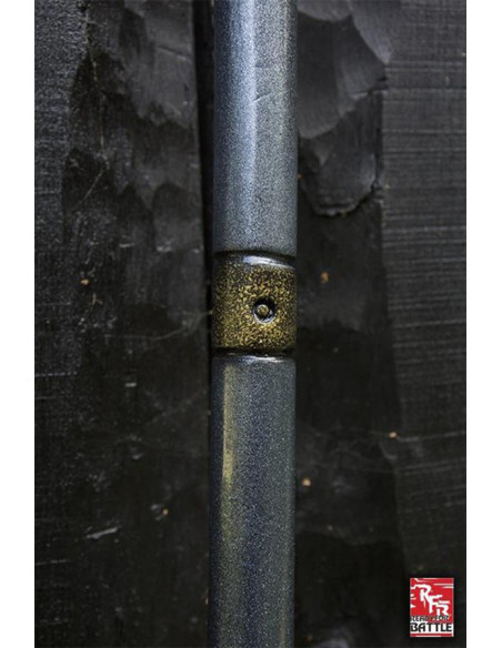 Assistente pronto para batalha Cajado...