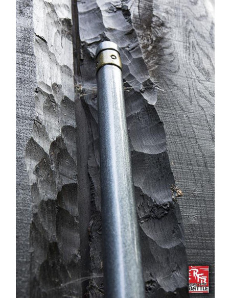 Assistente pronto para batalha Cajado...