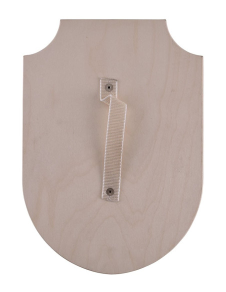 Dragão escudo de madeira, várias cores