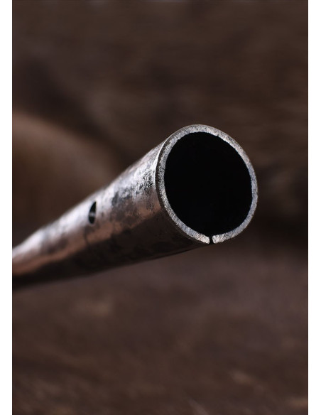 Ponta de lança alemã afiada