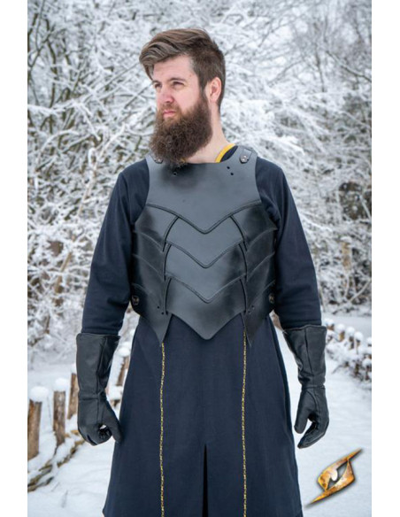 Conjunto de peitoral medieval de...