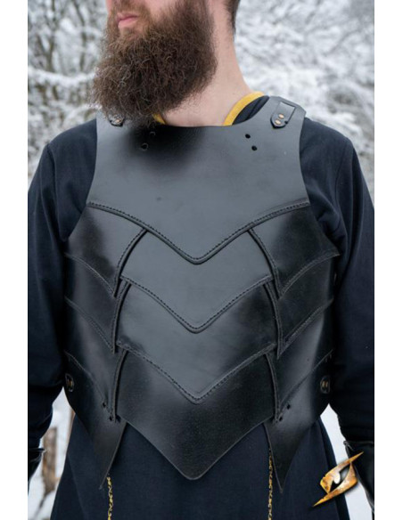 Shadow Armor conjunto completo em...