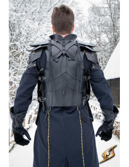 Shadow Armor conjunto completo em...