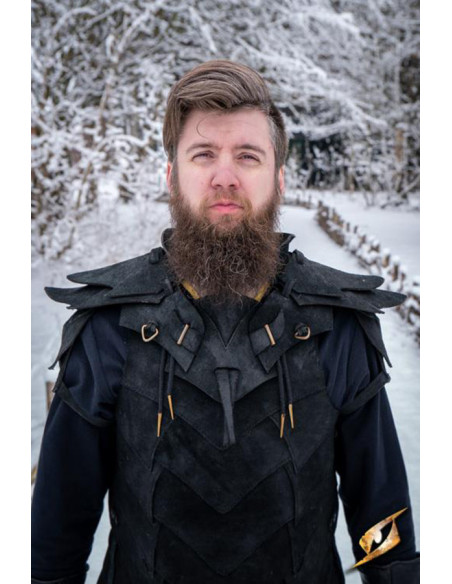 Conjunto completo Shadow Armor em...