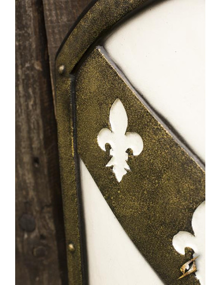 Escudo Leão Cavaleiro Medieval...