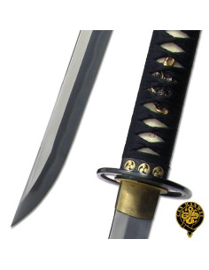 Grande série de ondas katana Tsunami 2