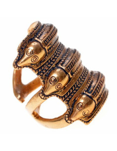 Anel Escandinavo da Idade do Ferro em Segerstad