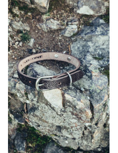 coleira de cachorro foca celta, marrom escuro 2