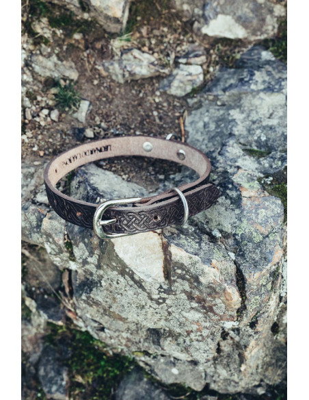 coleira de cachorro foca celta,...