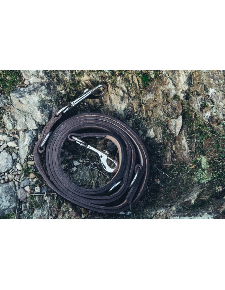 Conjunto de coleira para...