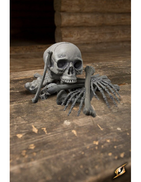 Ossos humanos, 18 peças
