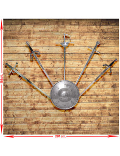 Panóplia (1) com cinco espadas medievais reais e históricas com escudo