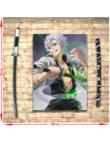 Banner Demon Slayer Shinazugawa...