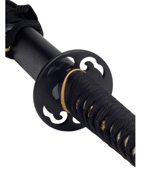 Katana Prático John Lee, práticas de...