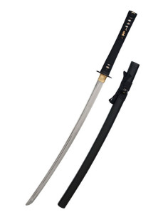 John Lee Ikusa Treinamento Katana