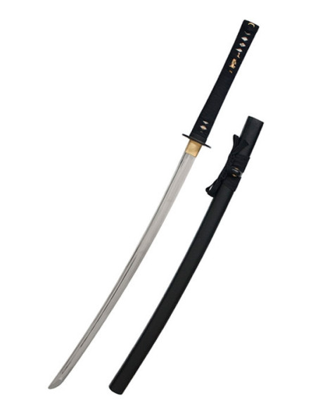 John Lee Ikusa Treinamento Katana