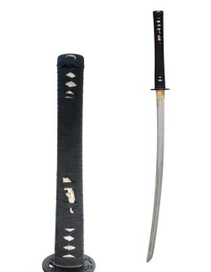 John Lee Ikusa Treinamento Katana 2