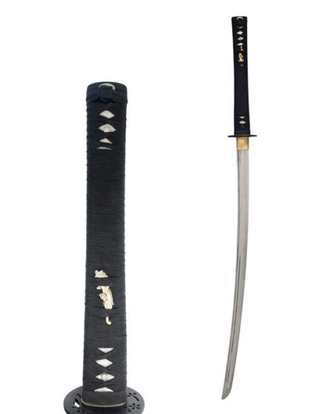 John Lee Ikusa Treinamento Katana