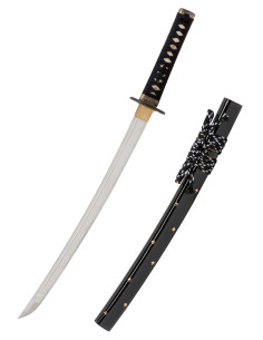 Wakizashi Iaito John Lee modelo Zaza 2