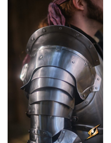 Dragonas em cinza aço série Epic...