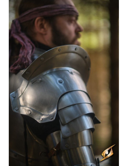 Dragonas em cinza aço série Epic...