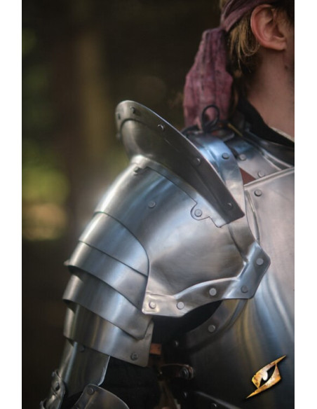 Dragonas em cinza aço série Epic...