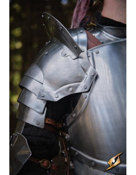 Dragonas em cinza aço série Epic...