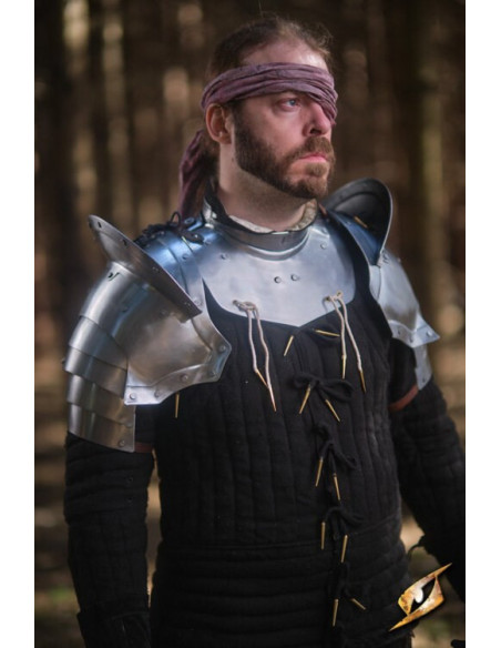 Dragonas em cinza aço série Epic...