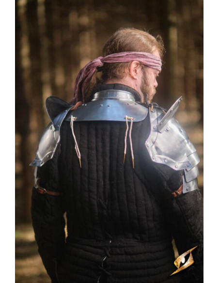 Dragonas em cinza aço série Epic...