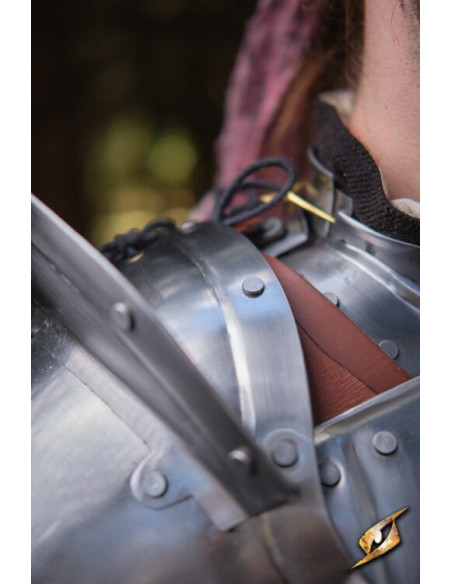 Dragonas em cinza aço série Epic...