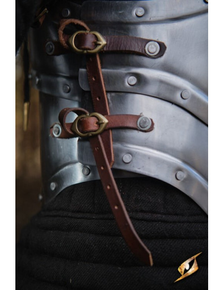 Peitoral de aço polido da série...