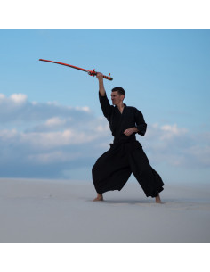 Espada dos Espíritos Malignos de Overwatch 2