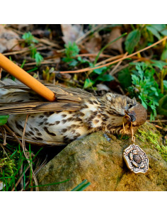 Brincos medievais ingleses de rosa Tudor, século XVI 2