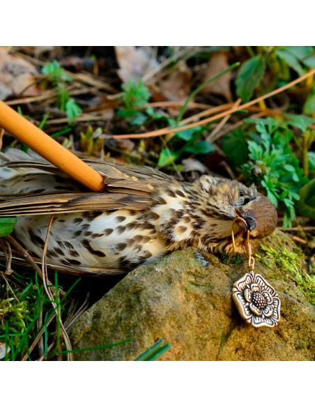 Brincos medievais ingleses de rosa...