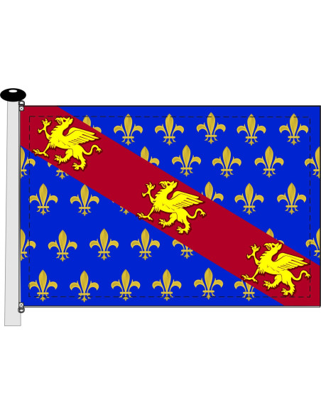 Dragões de bandeira medieval...