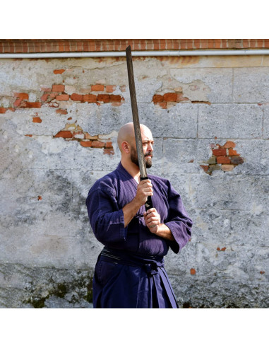 Menina E Mestre Aikido Lutando Com Espada De Madeira Durante a