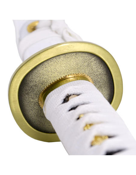 Prática básica de katana Shusui Wado...