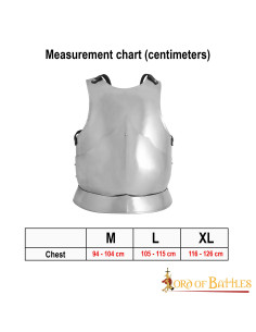 Couraça gótica aço macio polido 2