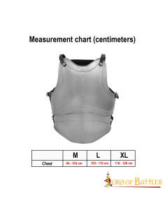 Clássico Cuirass Fantasy quatro placas, aço polido 2