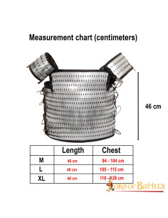 Armadura viking lamelar em escala de Visby 2
