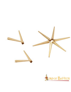 Conjunto de 10 aiglets ou suportes de latão brilhante... 2