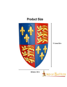 Escudo decorativo do rei Henrique IV 2