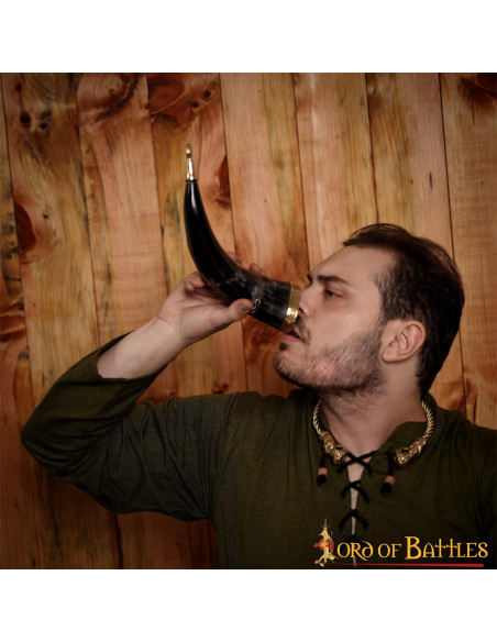 Garanhão Viking com chifres em chifre...