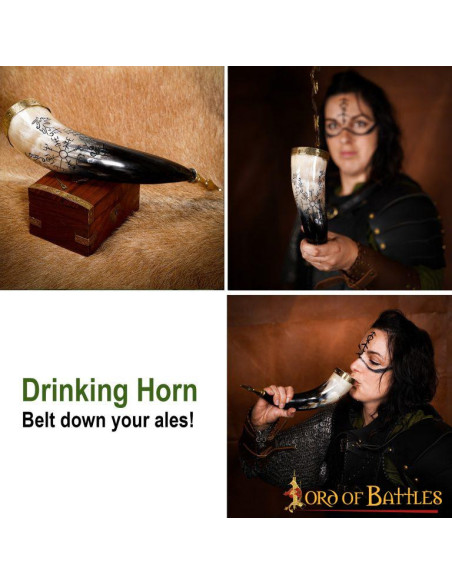 Modelo de chifre de bebida Viking...