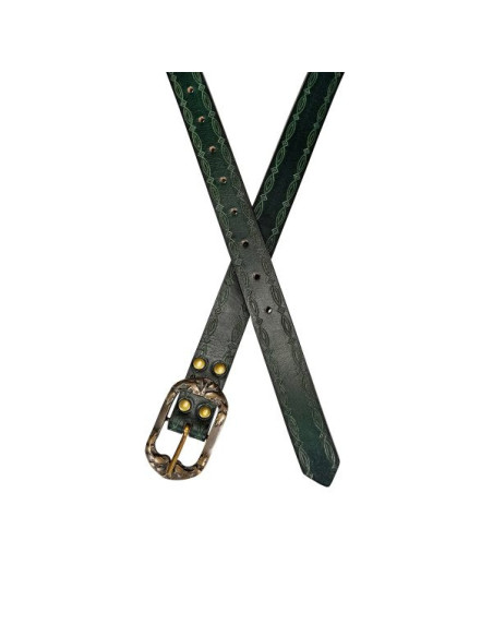 Green Belt Ranger do projeto do Norte