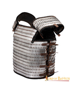 Armadura de escala viking com ripas e placas visby 2